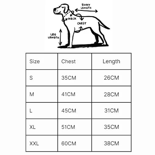 Luxurious Dog Clothes