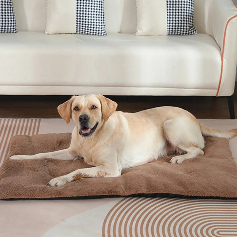 Dog Bed Short Plush