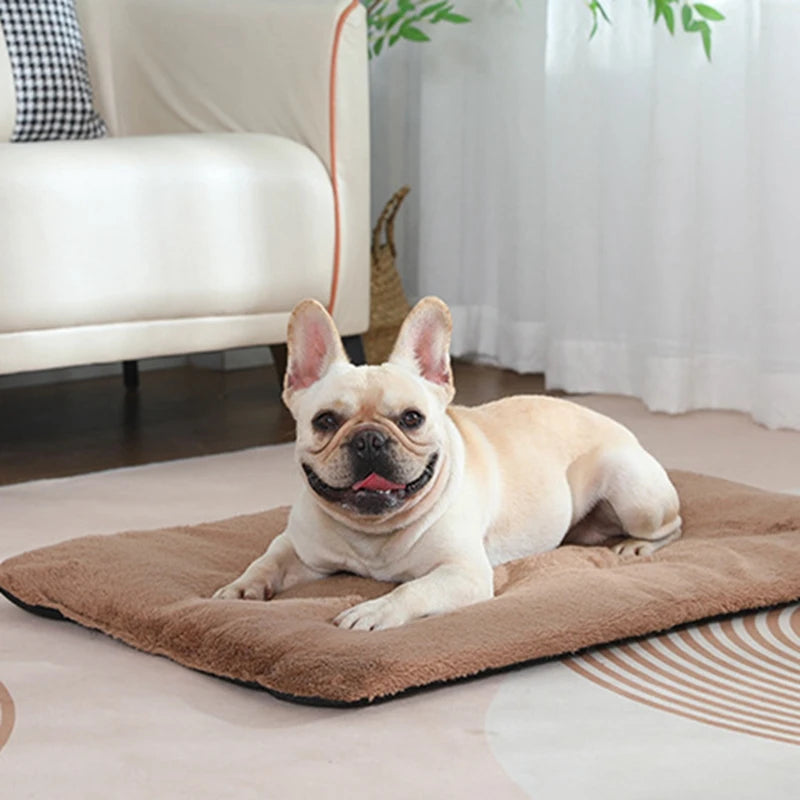 Dog Bed Short Plush