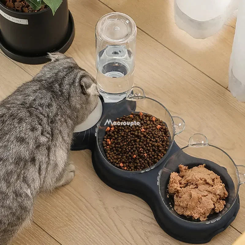 Pet Cat Bowl Feeder