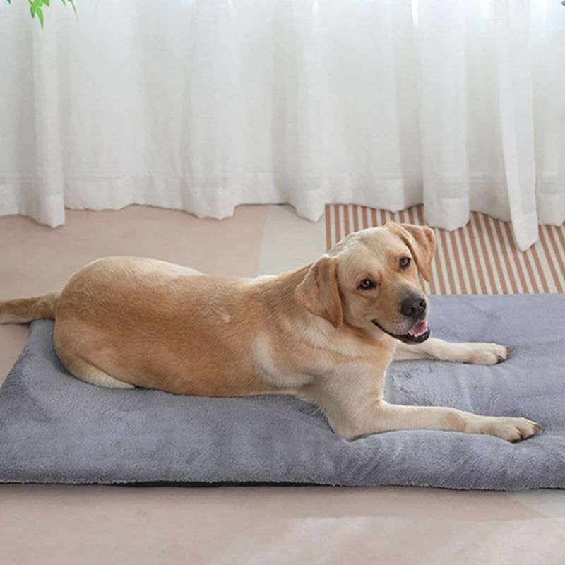 Dog Bed Short Plush