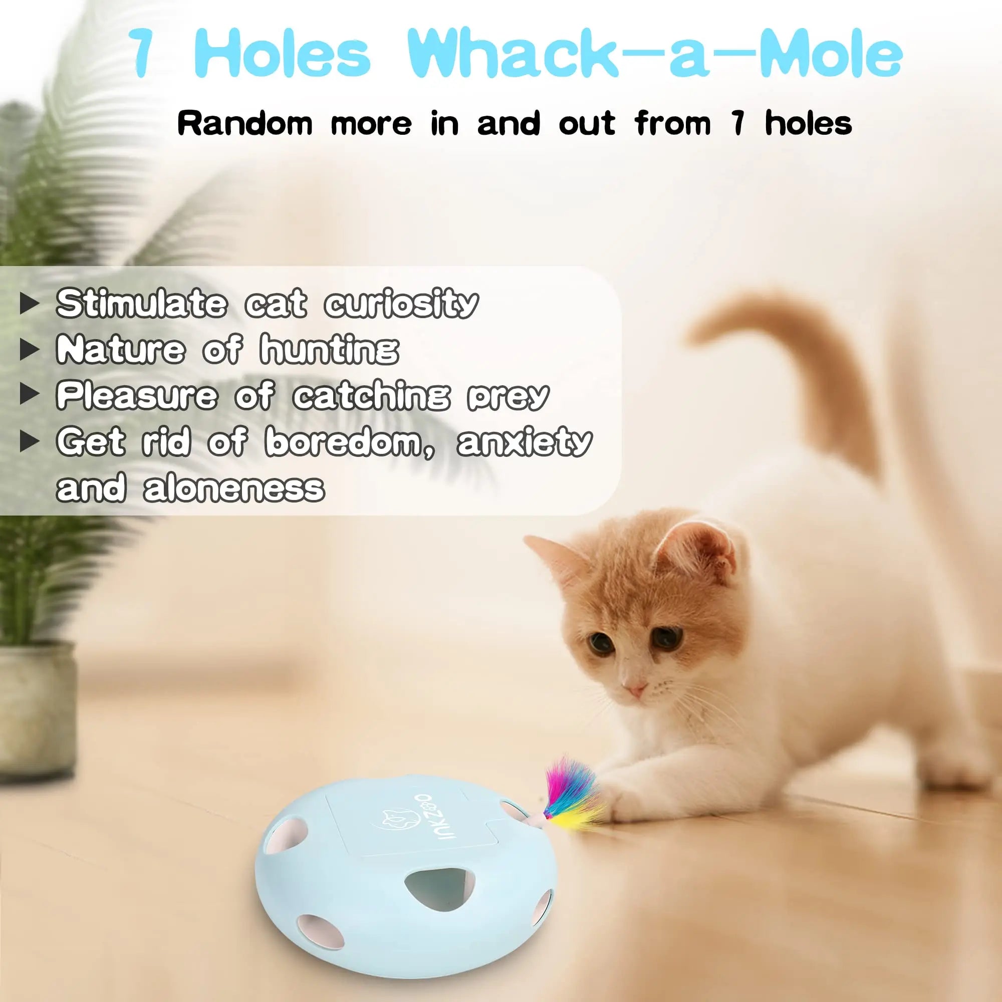 Interactive Cat Toys