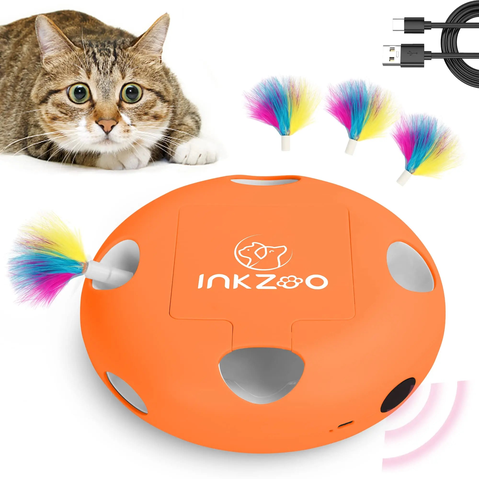 Interactive Cat Toys