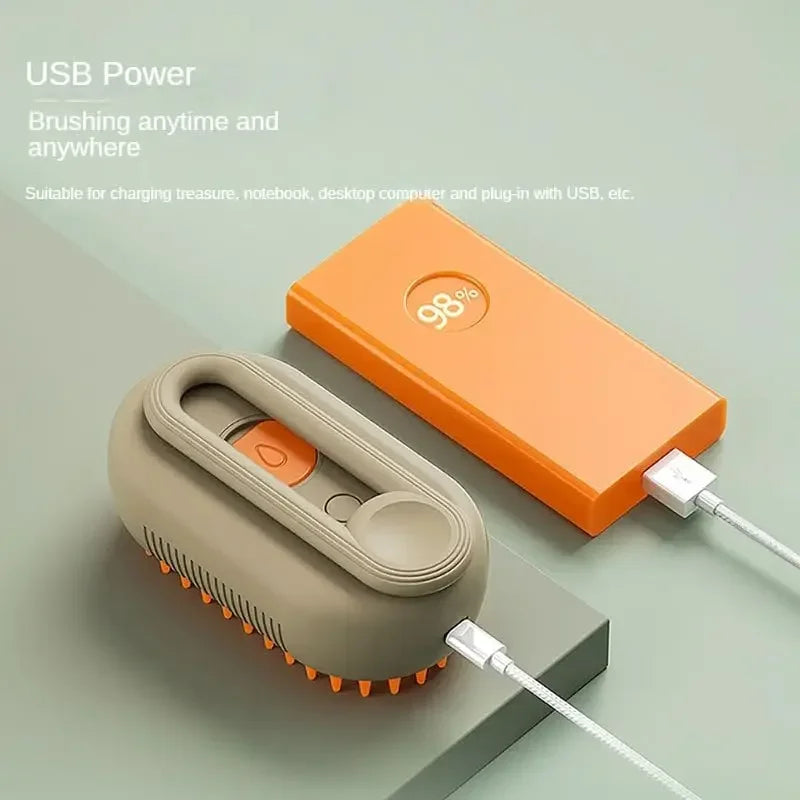 Rechargeable Steam Brush