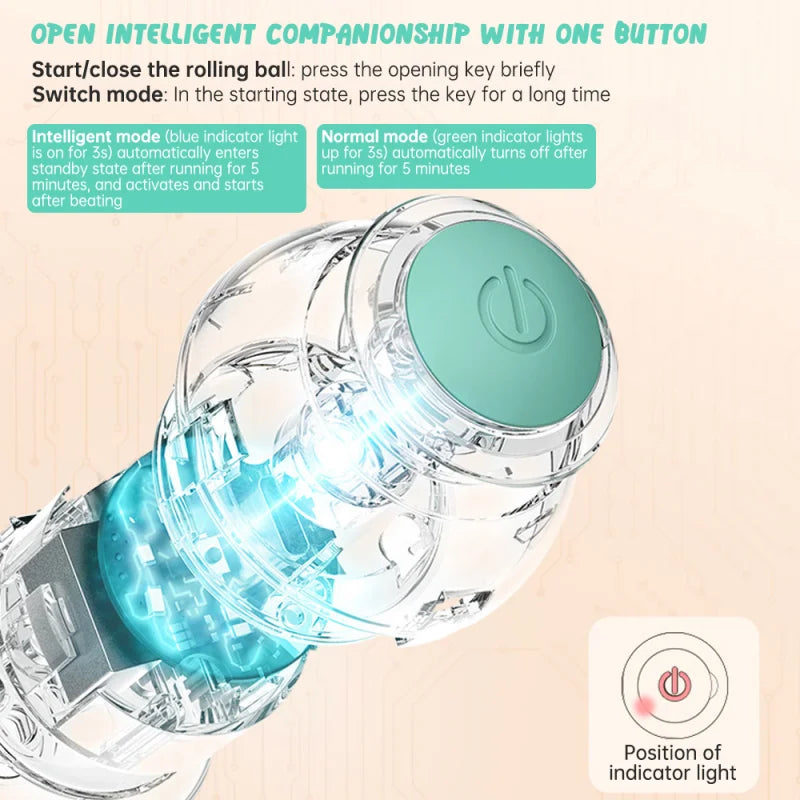 Pet Automatic Rolling Toy